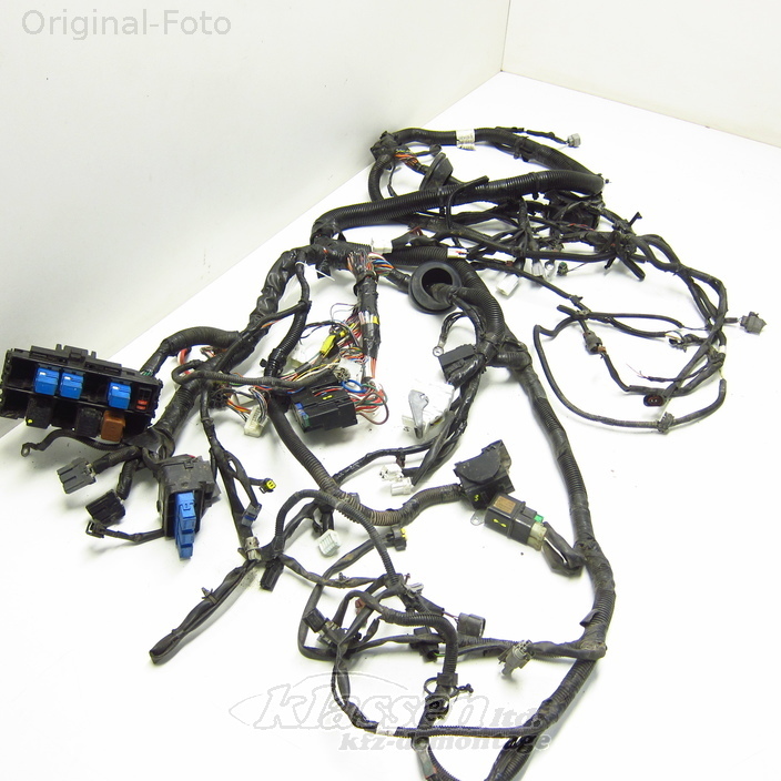 Wiring Harness 2006 Nissan Navara